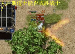 大后期道士能否战胜战士？