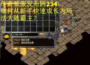 传奇私服发布网234：如何从新手快速成长为玛法大陆霸主？