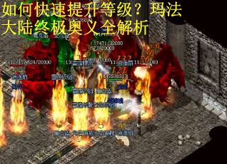 如何快速提升等级？玛法大陆终极奥义全解析