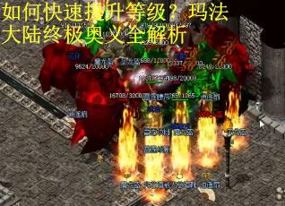 如何快速提升等级？玛法大陆终极奥义全解析