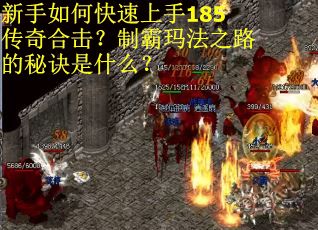 新手如何快速上手185传奇合击？制霸玛法之路的秘诀是什么？