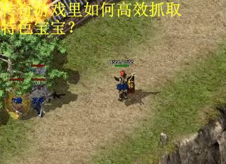 传奇游戏里如何高效抓取特色宝宝？