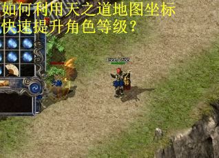如何利用天之道地图坐标快速提升角色等级？