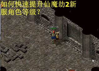 如何快速提升仙魔劫2新服角色等级？