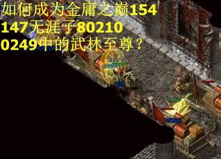 如何成为金庸之巅154147无涯子802100249中的武林至尊？