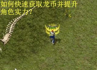 如何快速获取龙币并提升角色实力？