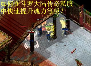 如何在斗罗大陆传奇私服中快速提升魂力等级？