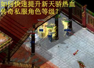 如何快速提升新天骄热血传奇私服角色等级？
