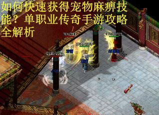 如何快速获得宠物麻痹技能？单职业传奇手游攻略全解析